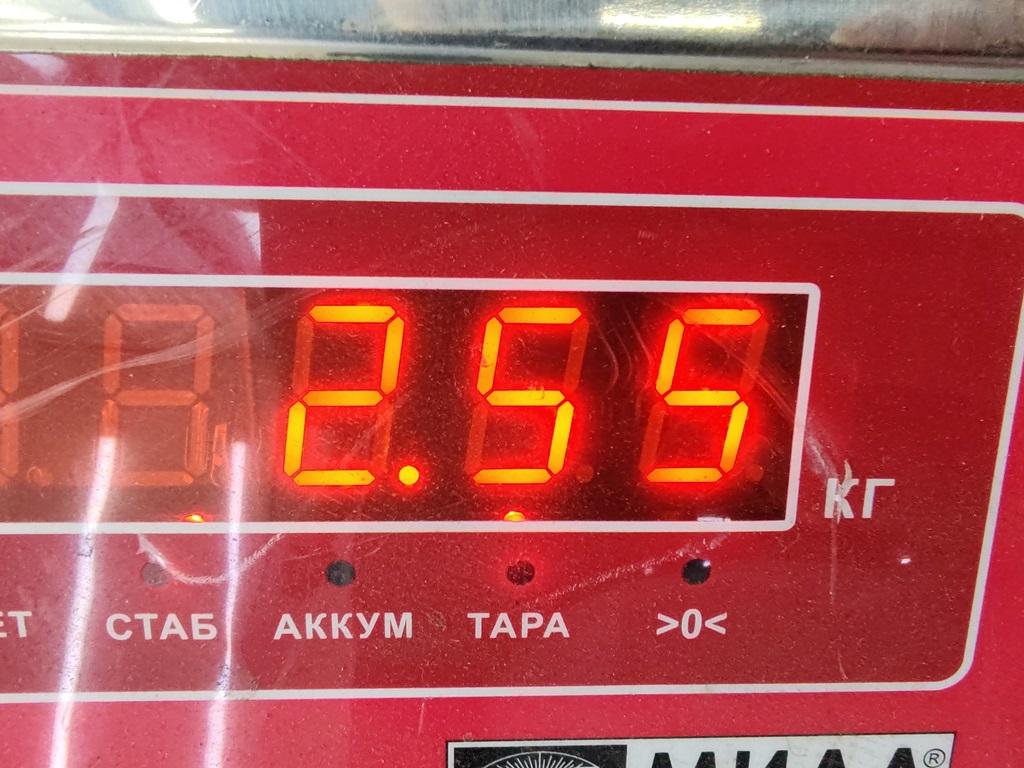 Пружина задняя