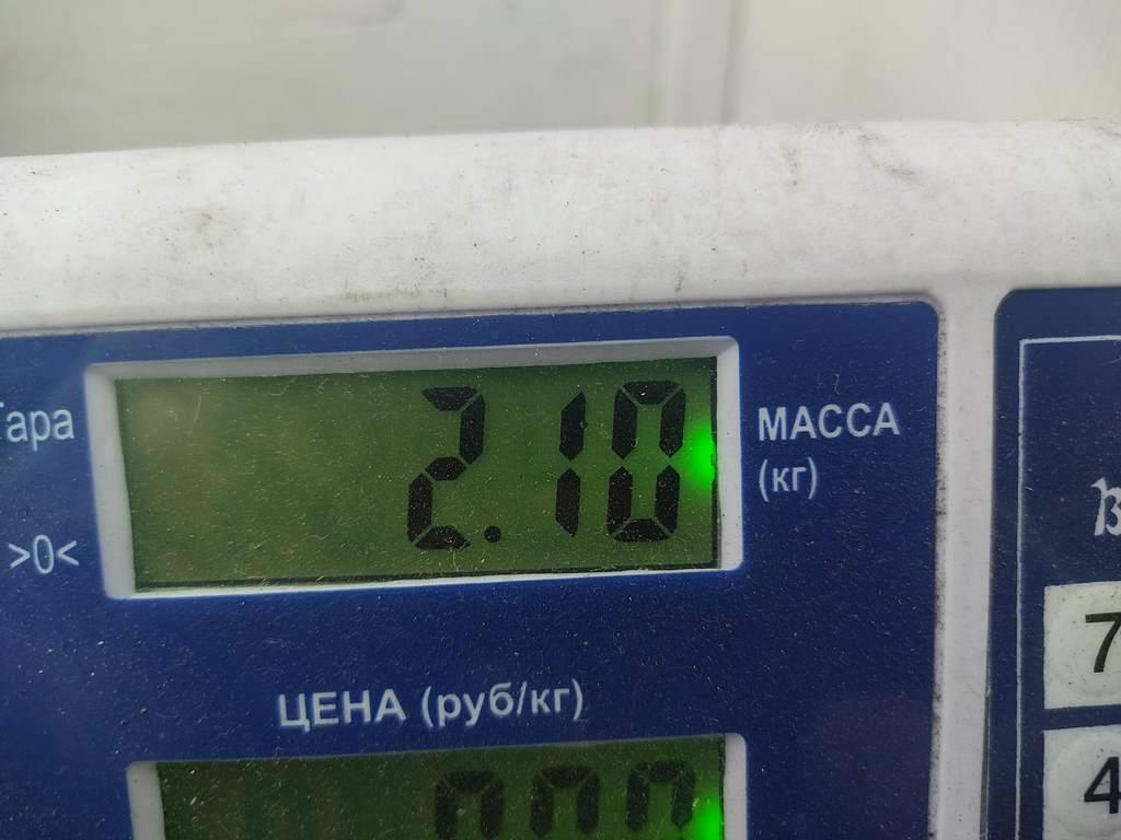 Домкрат