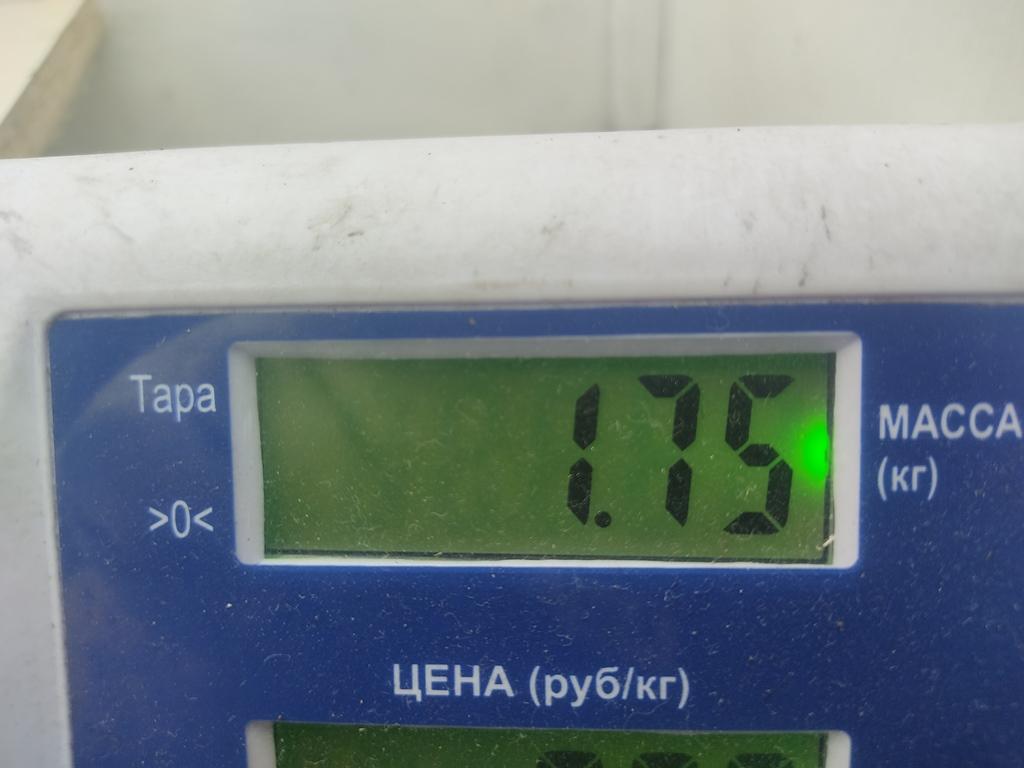 Ремень безопасности с пиропатроном
