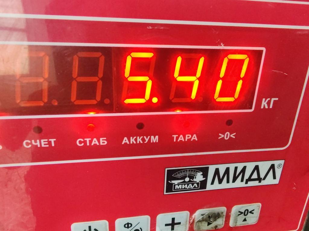 Поддон масляный двигателя (картер)