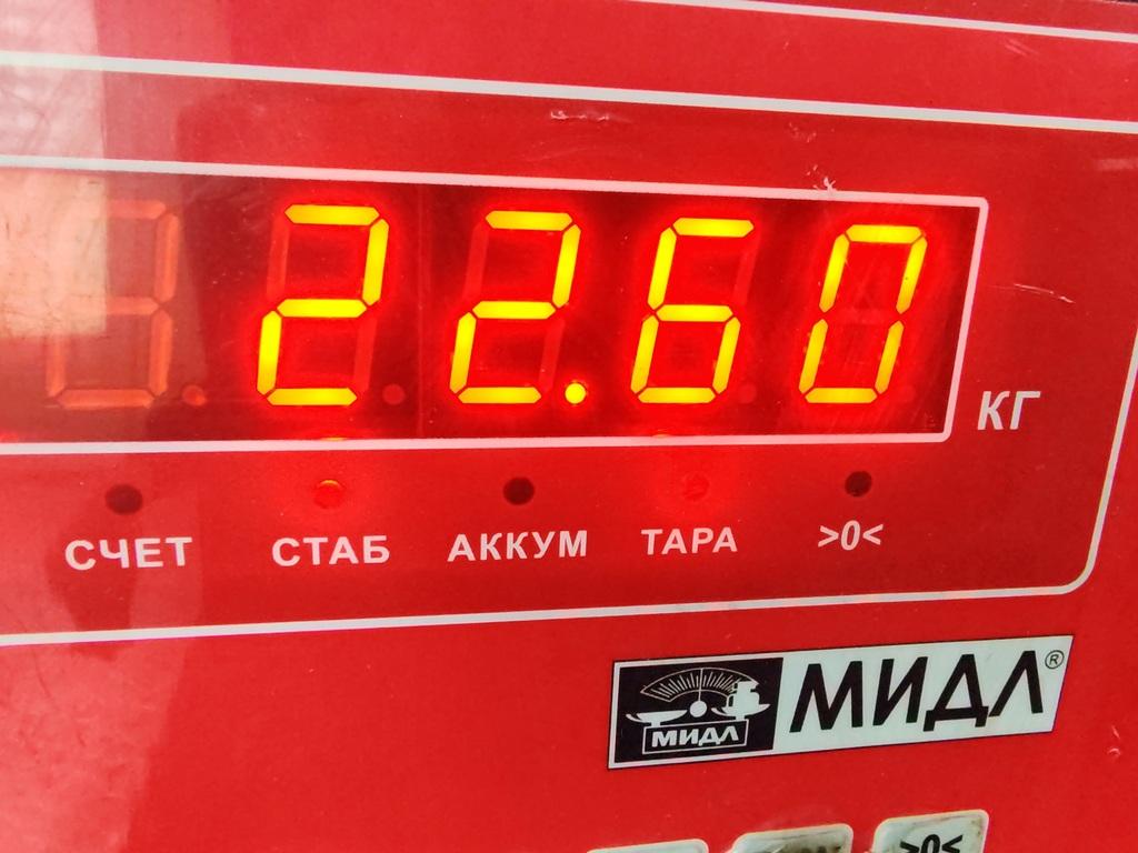 Головка блока цилиндров