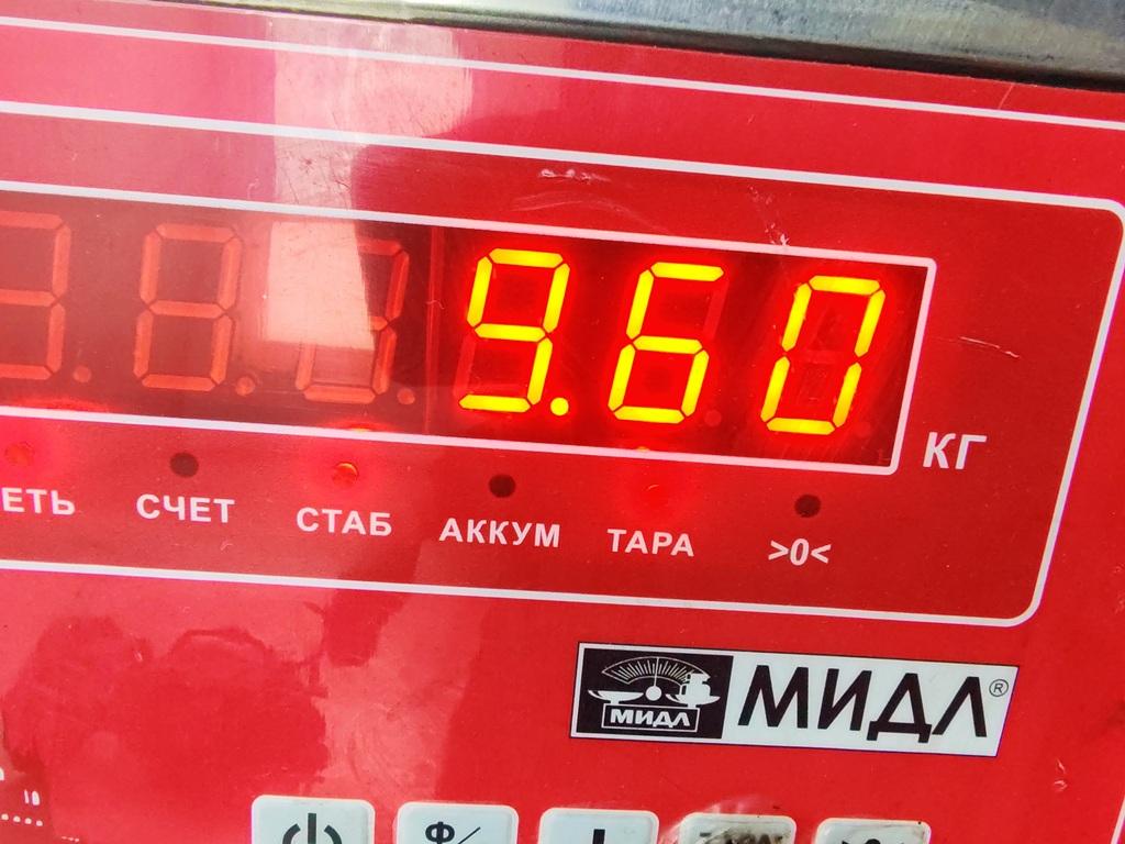 ТНВД (Топливный насос высокого давления)
