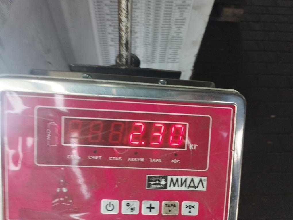 Пружина задняя