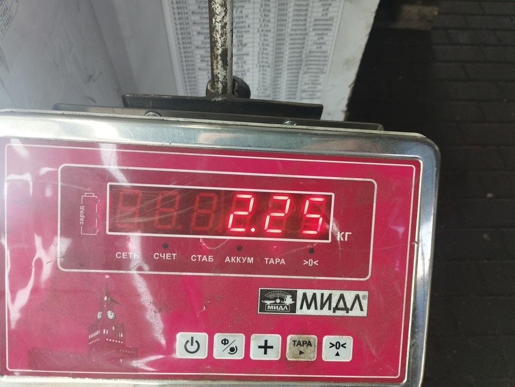 Пружина задняя