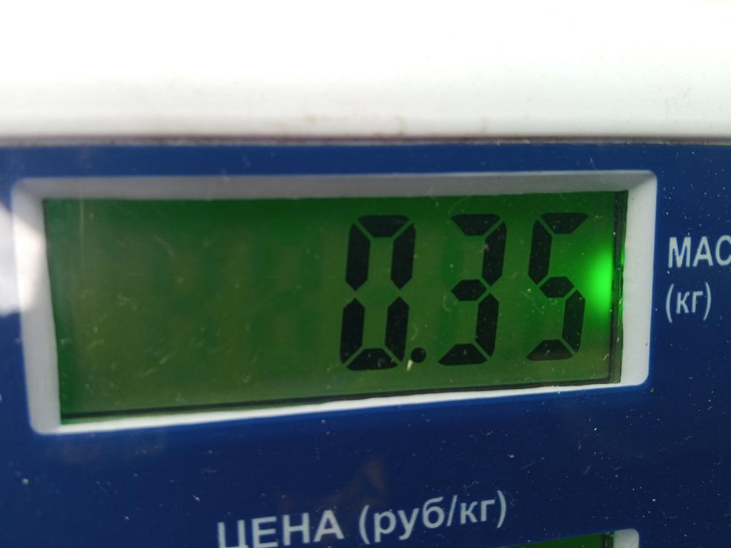 Плата заднего фонаря левого