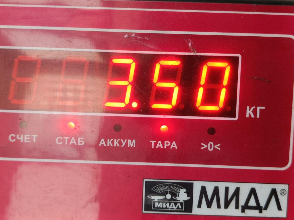 Стартер