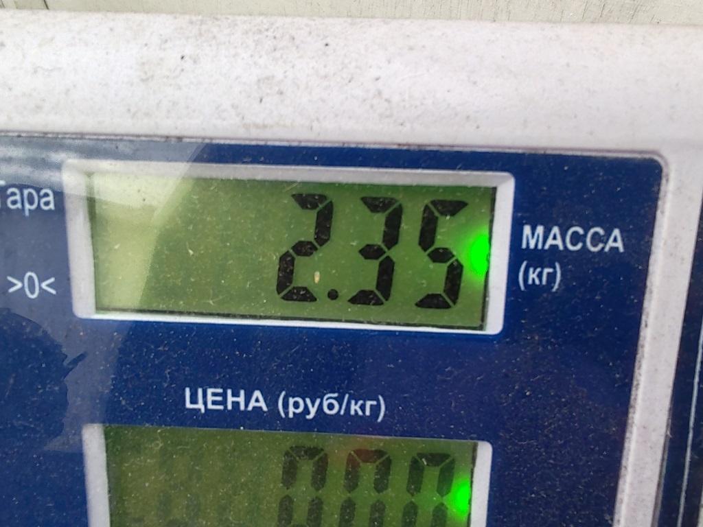 Фара левая