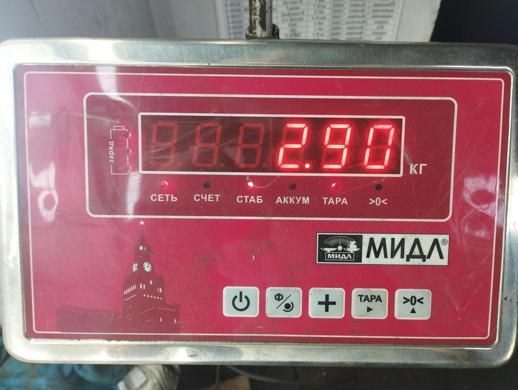 Амортизатор задний левый