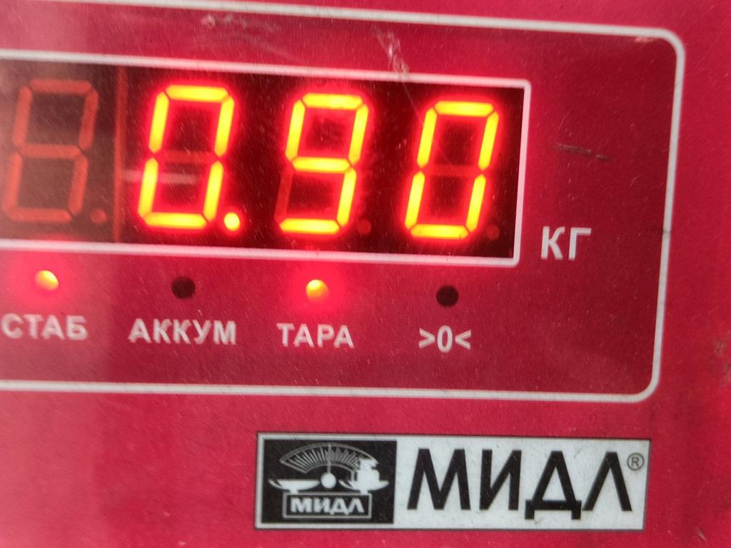 Поршень с шатуном