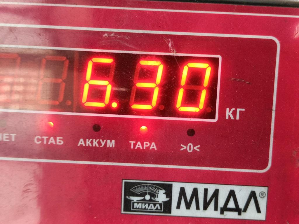 ТНВД (Топливный насос высокого давления)