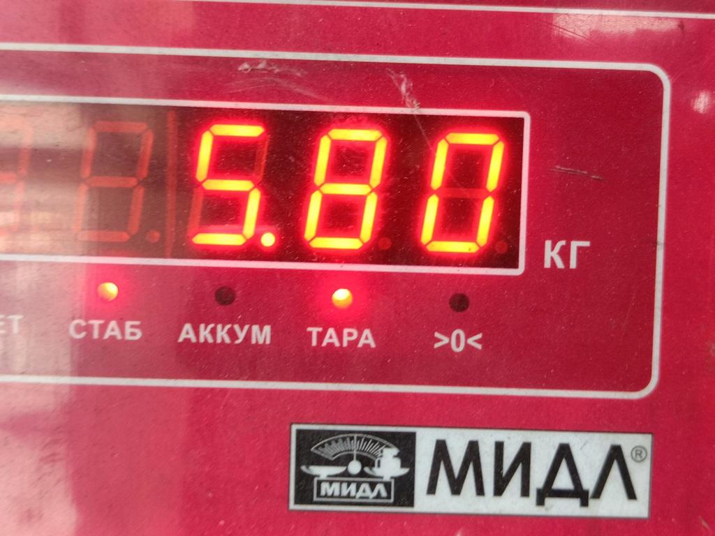 ТНВД (Топливный насос высокого давления)