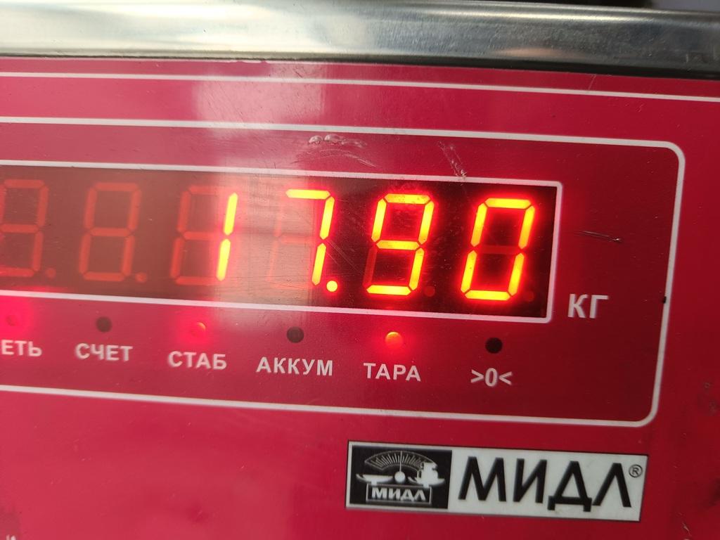 Коленвал