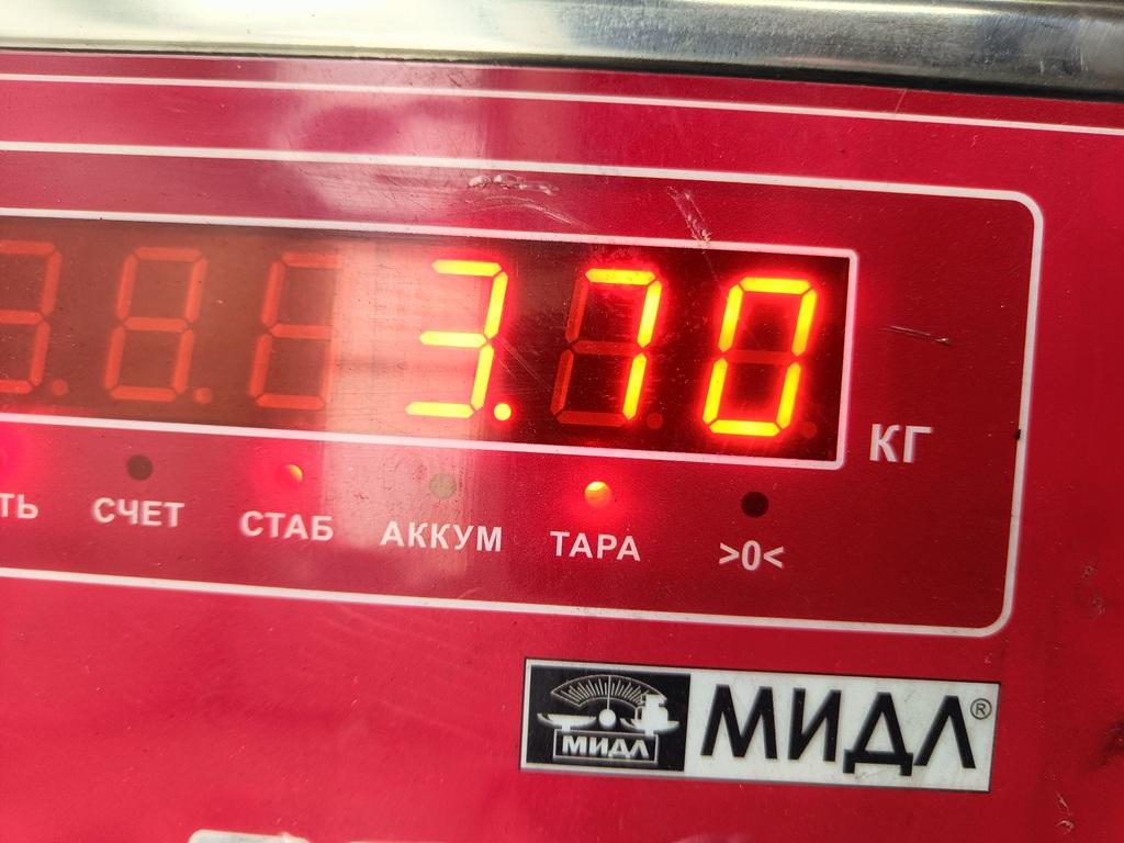 Опора двигателя