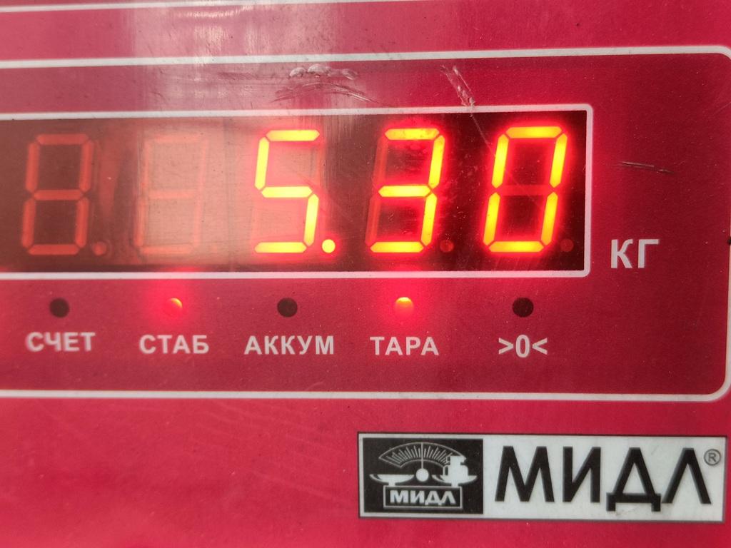 ТНВД (Топливный насос высокого давления)