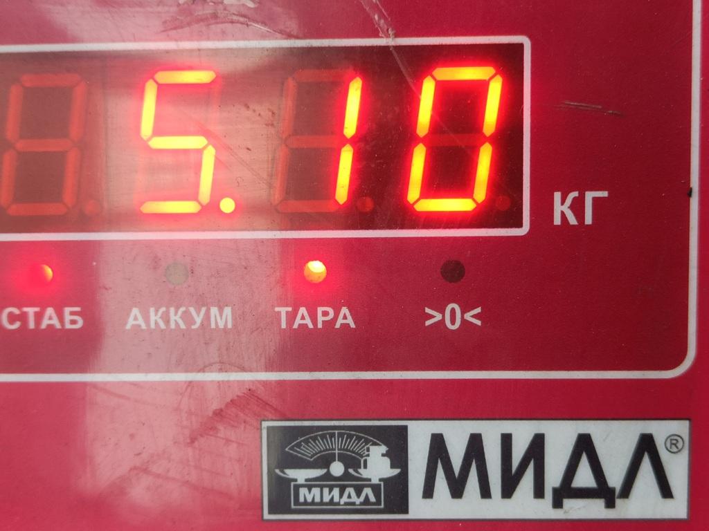 ТНВД (Топливный насос высокого давления)