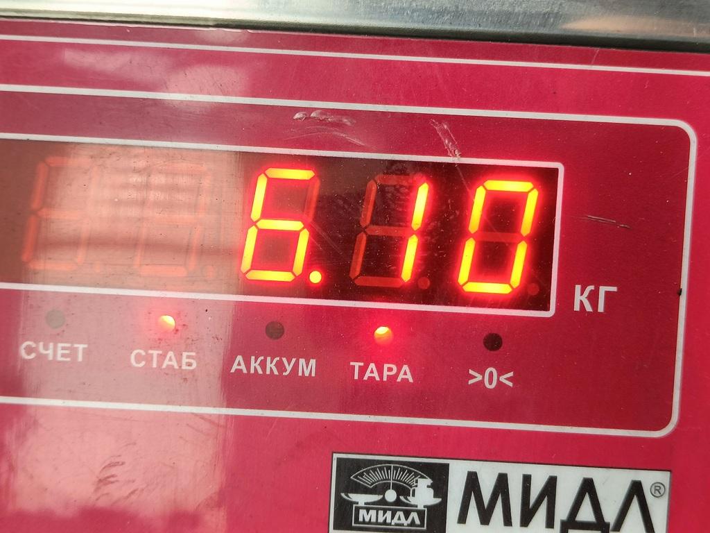 ТНВД (Топливный насос высокого давления)