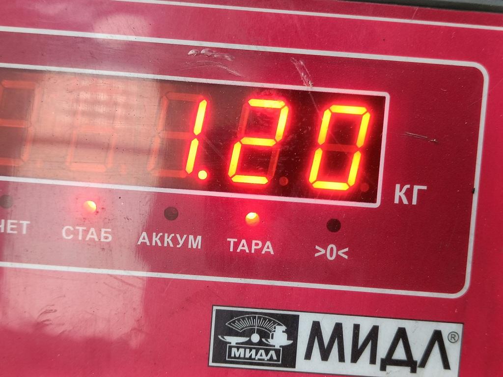 ТНВД (Топливный насос высокого давления)