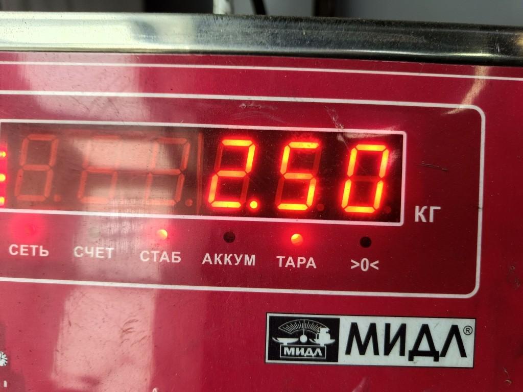 Стартер