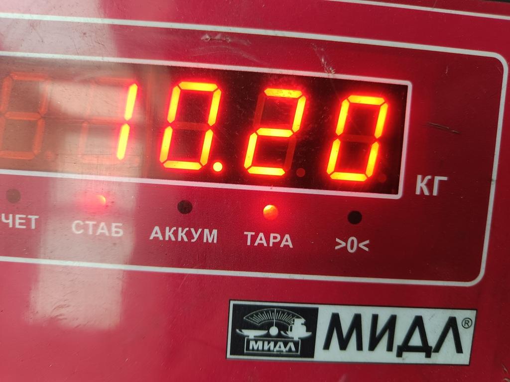 ТНВД (Топливный насос высокого давления)