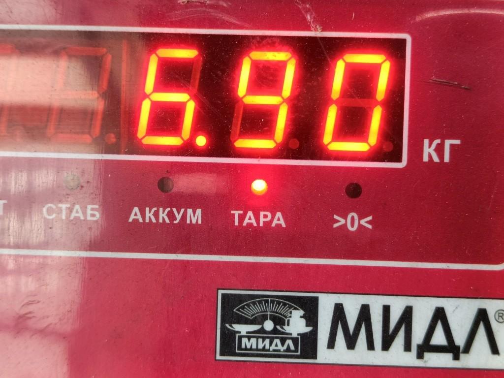 Генератор
