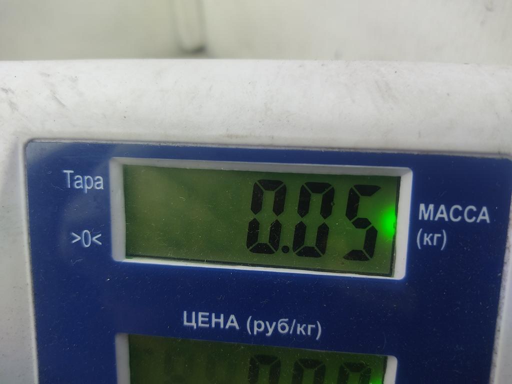 Иммобилайзер