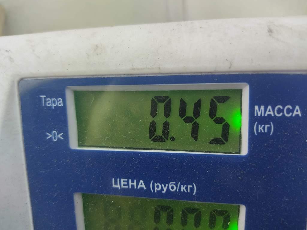 Радиатор отопителя