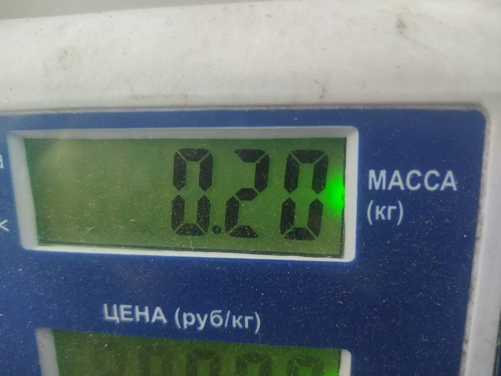 Моторчик заслонки печки