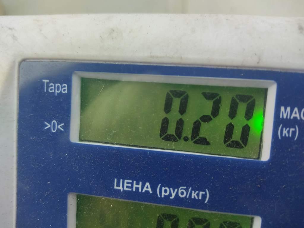 Моторчик заслонки печки