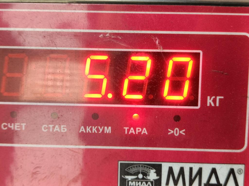 ТНВД (Топливный насос высокого давления)
