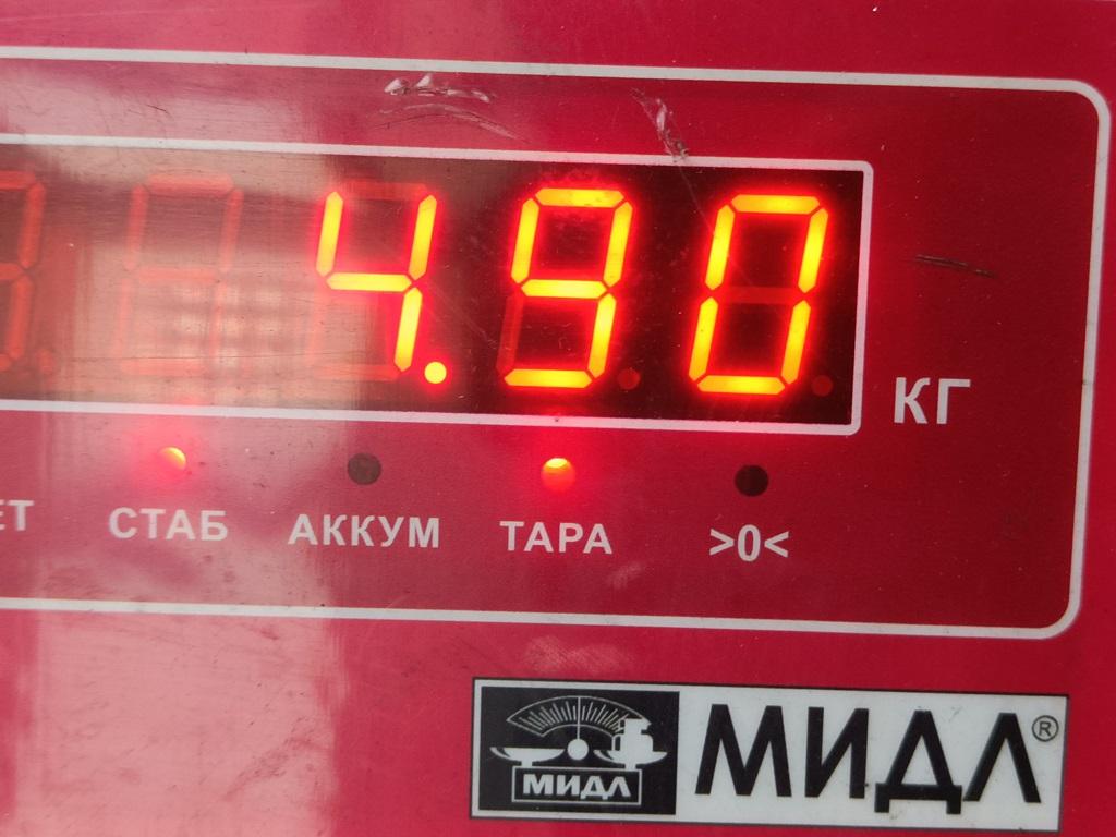 Генератор