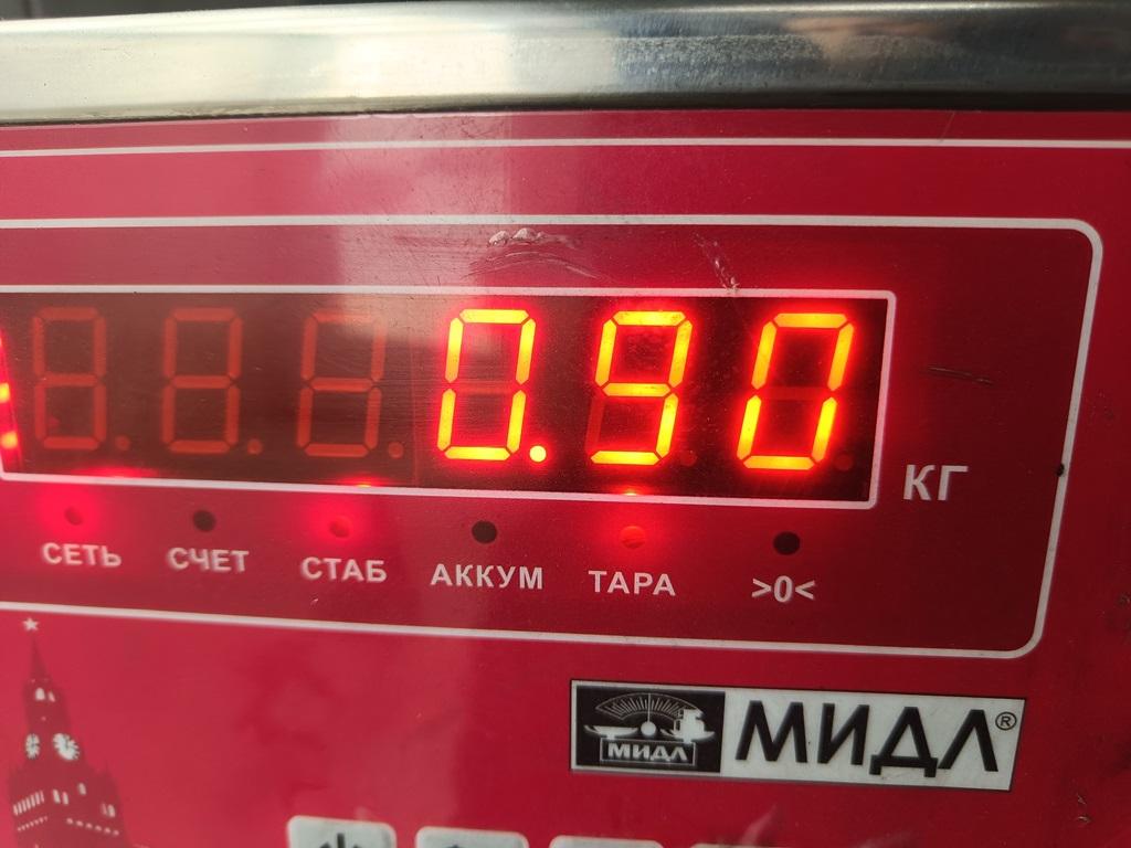 Форсунка инжекторная электрическая