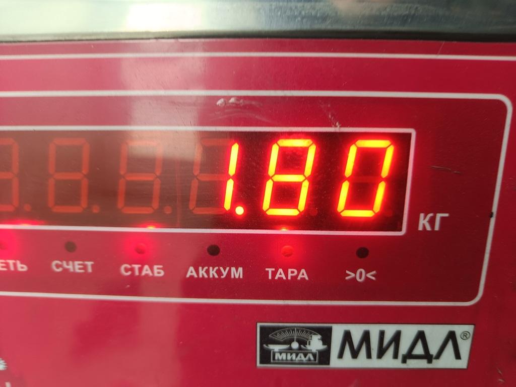 Опора двигателя