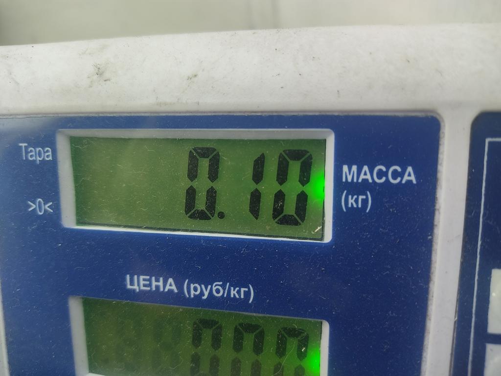Кнопка регулировки зеркала