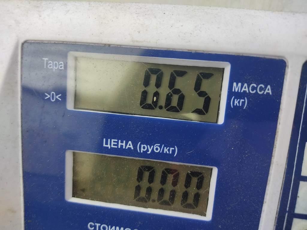 Бачок расширительный