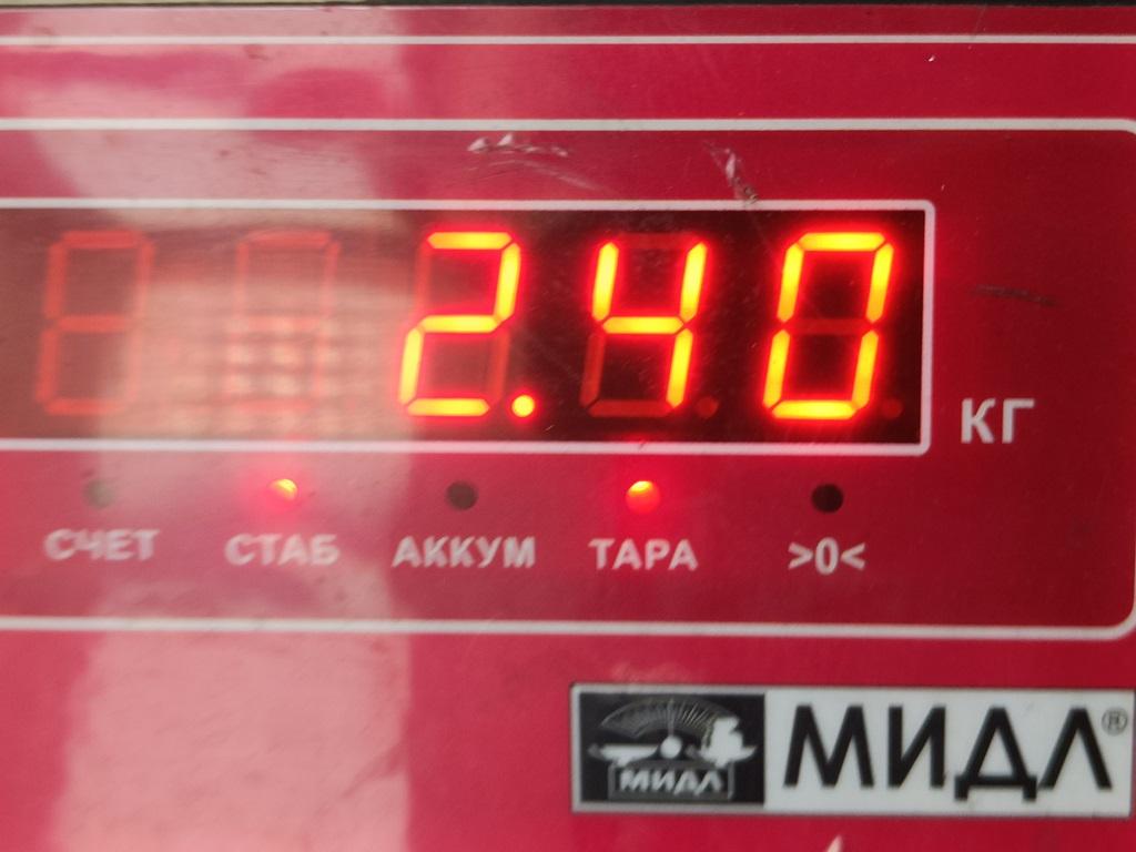 Стартер