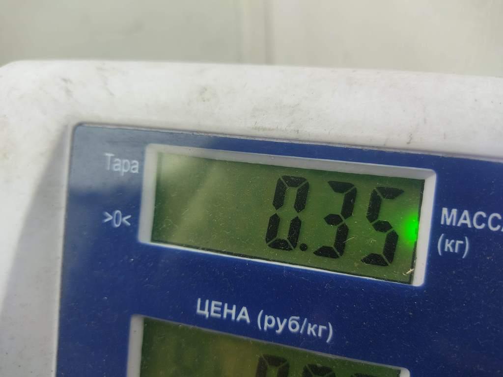 Фара противотуманная правая