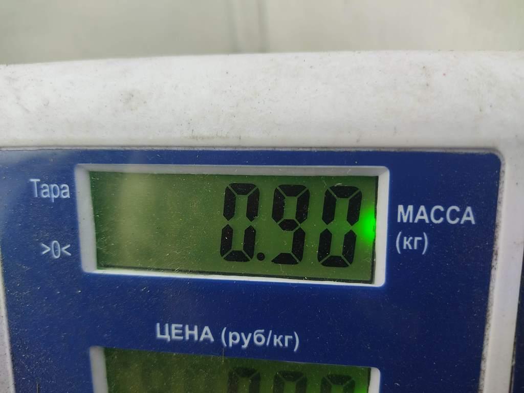 Насос топливный электрический