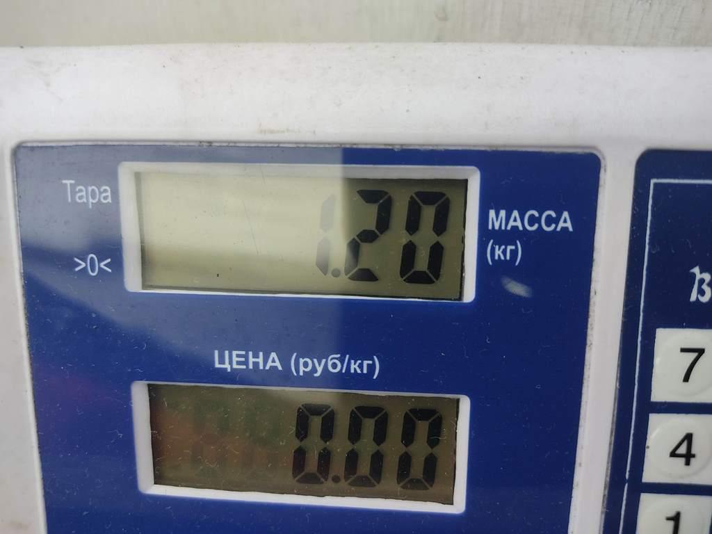 Фонарь задний левый