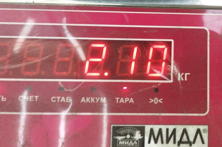 Поддон масляный двигателя (картер)