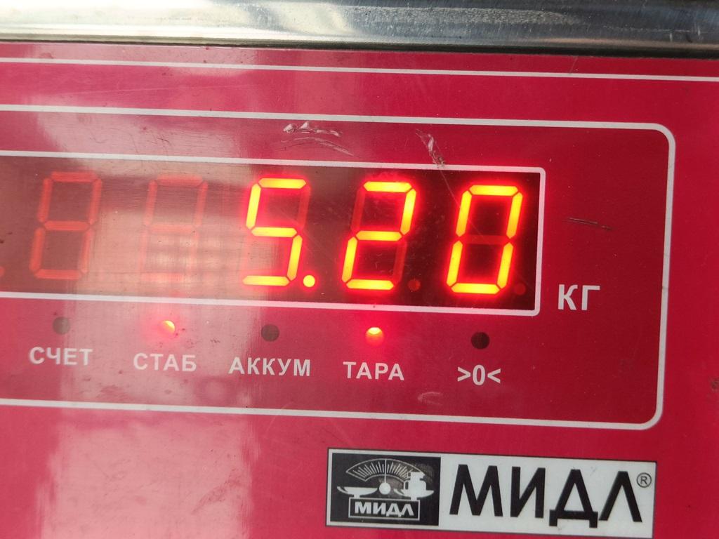 Генератор