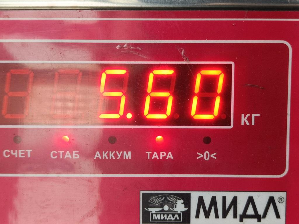 Генератор