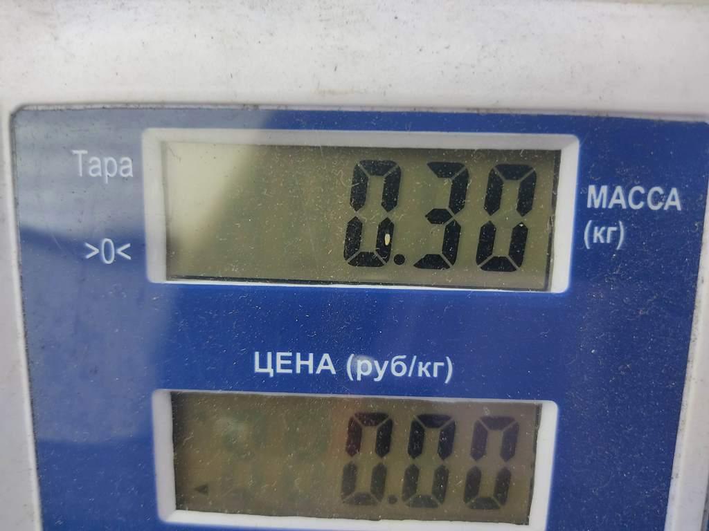 Педаль газа