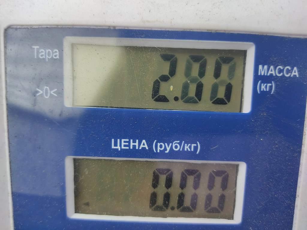 Вентилятор радиатора