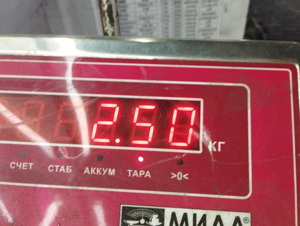 Щит опорный задний правый
