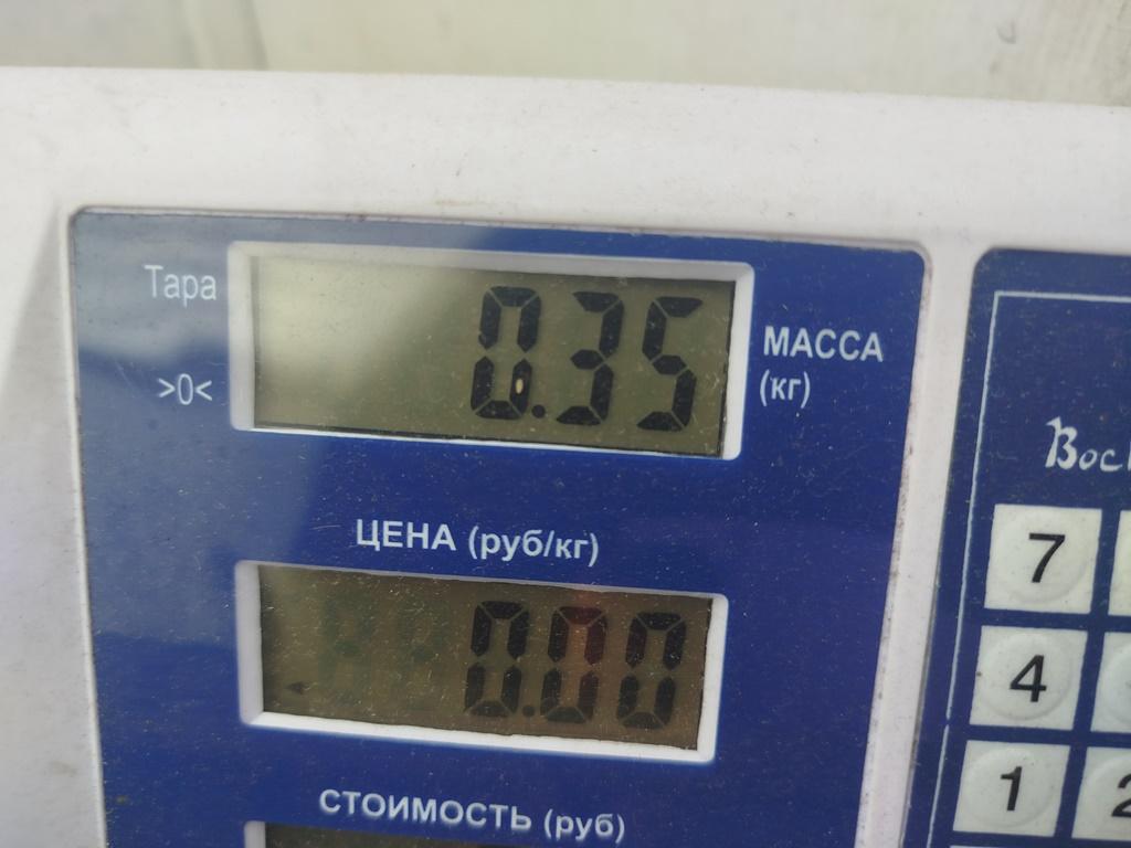 Фара противотуманная левая