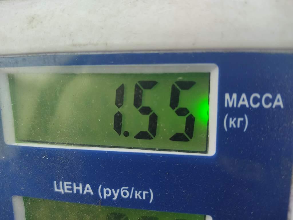 Подушка безопасности в рулевое колесо
