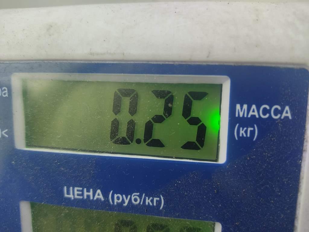 Трубка цилиндра сцепления