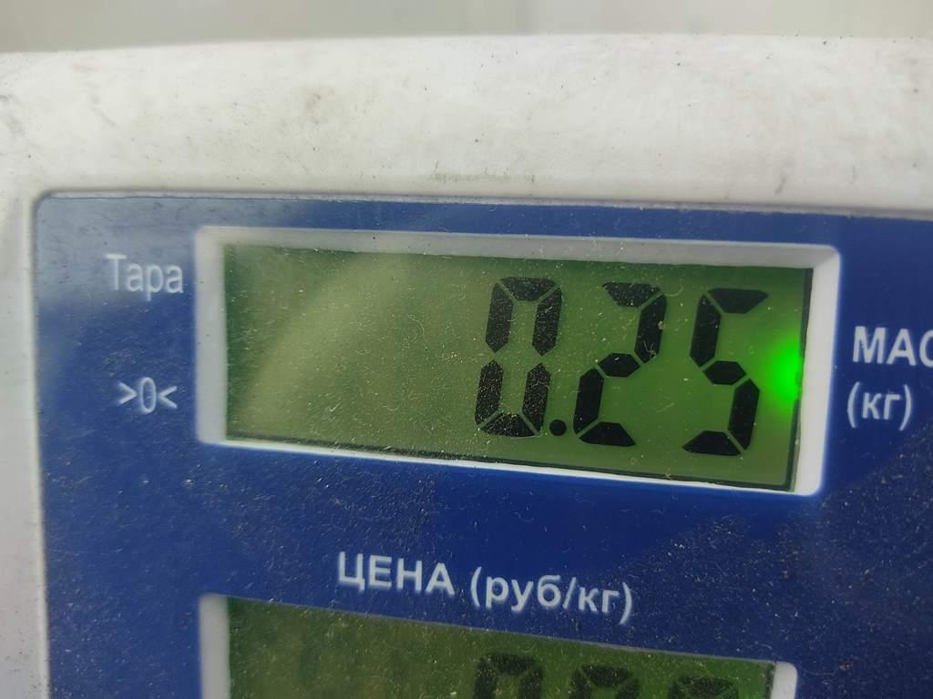 Цилиндр сцепления главный