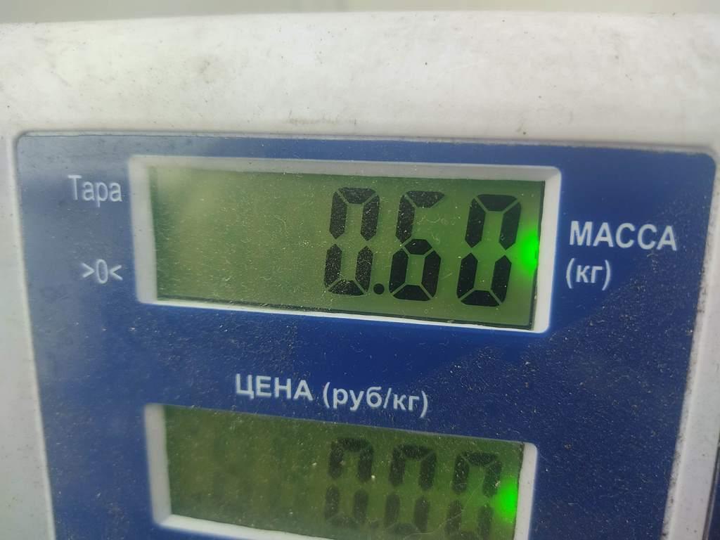 Замок двери передней левой