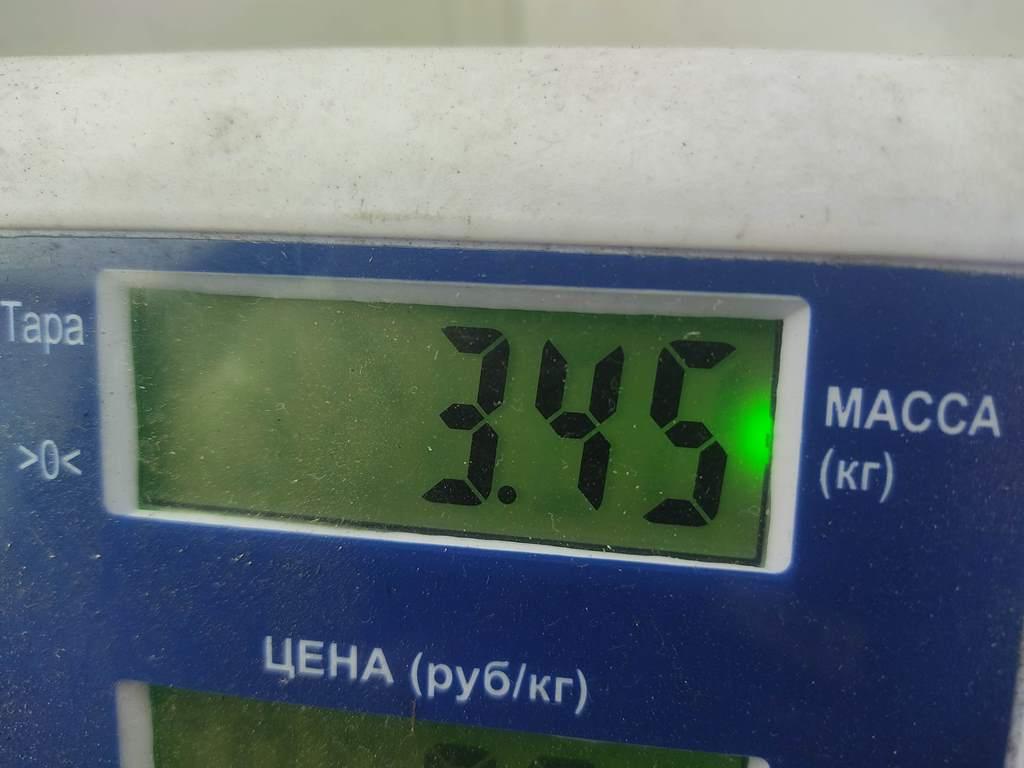 Усилитель тормозов вакуумный
